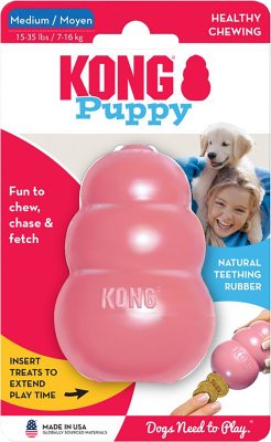 kong treat puppy