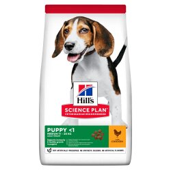 Hills SP Puppy Medium Chicken 12kg