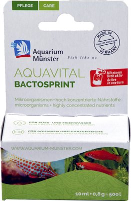 Munster Bactosprint10Ml + 8G