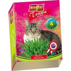 Kattgräs Vitapol 100Gr
