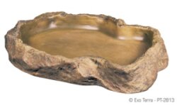 Matskål L 21X18.5X3Cm Exoterra
