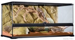 Terrarium Exoterra 90X45X45Cm L Wide
