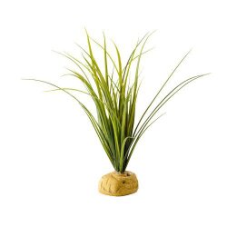 Turtle Grass Exoterra