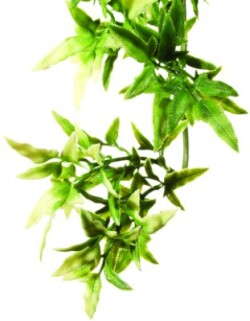 Croton S Plastväxt Exoterra