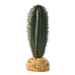 Stavkaktus Ökenväxtexoterra 6.3X5X16Cm