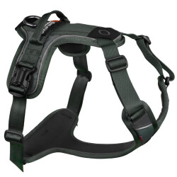 Non-Stop Ramble Harness, Green, M