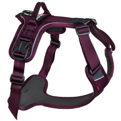 Ramble harness, unisex, purple, XL, single