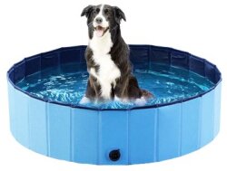 Dog Pool 160X30Cm Ozami Blå