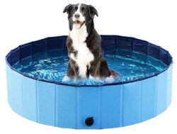 Dog Pool 120X30Cm Ozami