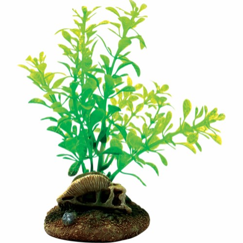 4Fish Kranie Og Planter 6,5X6,3X13,3 Cm